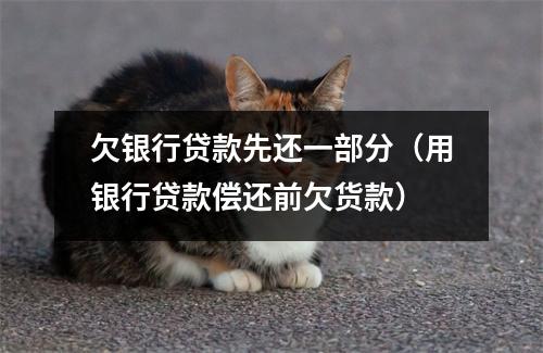 欠银行贷款先还一部分（用银行贷款偿还前欠货款）