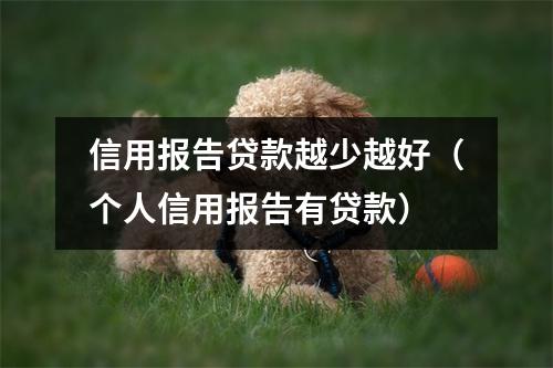 信用报告贷款越少越好（个人信用报告有贷款）