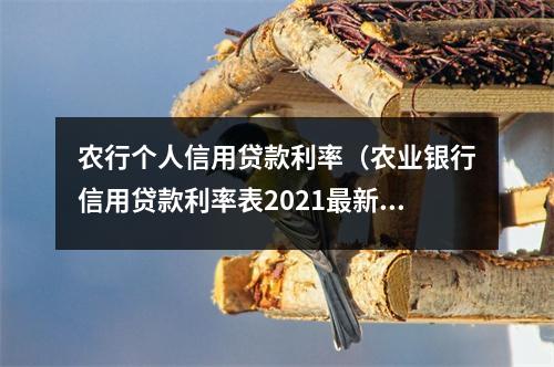 农行个人信用贷款利率（农业银行信用贷款利率表2021最新利率）