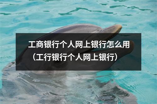 工商银行个人网上银行怎么用（工行银行个人网上银行）