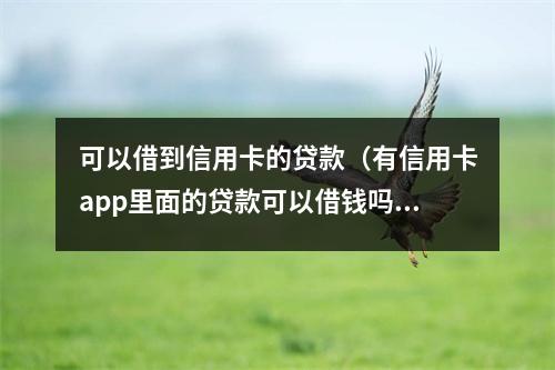 可以借到信用卡的贷款（有信用卡app里面的贷款可以借钱吗）