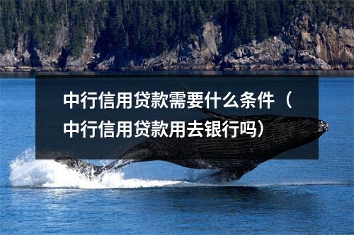 中行信用贷款需要什么条件（中行信用贷款用去银行吗）