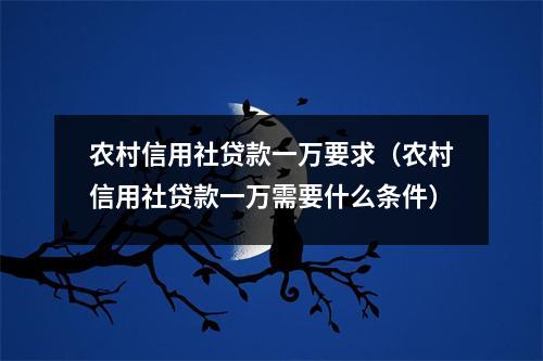 农村信用社贷款一万要求（农村信用社贷款一万需要什么条件）