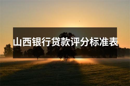 山西银行贷款评分标准表