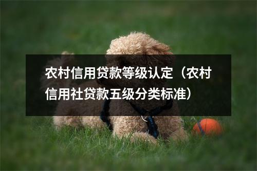 农村信用贷款等级认定（农村信用社贷款五级分类标准）