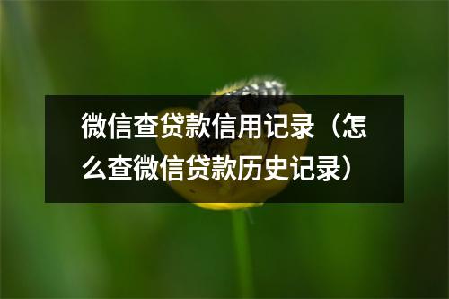 微信查贷款信用记录(怎么查微信贷款历史记录)