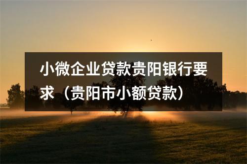小微企业贷款贵阳银行要求（贵阳市小额贷款）