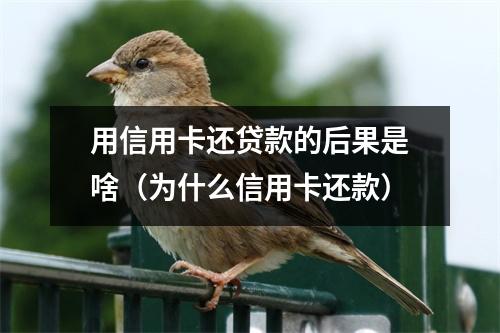 用信用卡还贷款的后果是啥（为什么信用卡还款）
