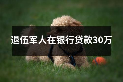 退伍军人在银行贷款30万