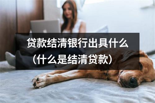 贷款结清银行出具什么（什么是结清贷款）