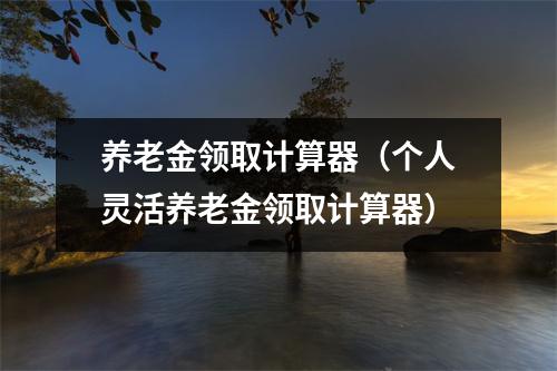 养老金领取计算器（个人灵活养老金领取计算器）