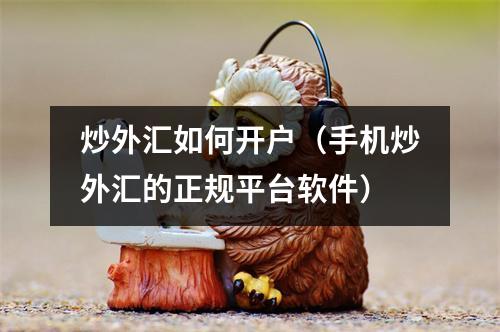 炒外汇如何开户（手机炒外汇的正规平台软件）