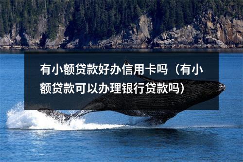 有小额贷款好办信用卡吗（有小额贷款可以办理银行贷款吗）