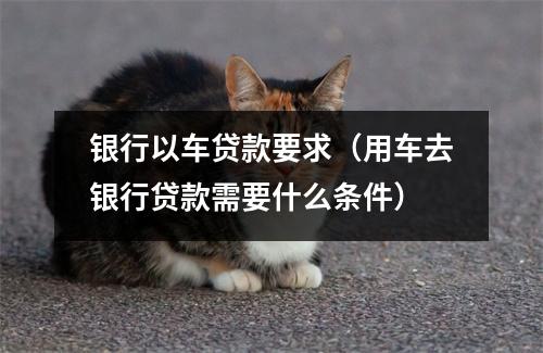 银行以车贷款要求(用车去银行贷款需要什么条件)