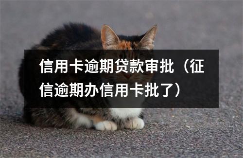 信用卡逾期贷款审批（征信逾期办信用卡批了）