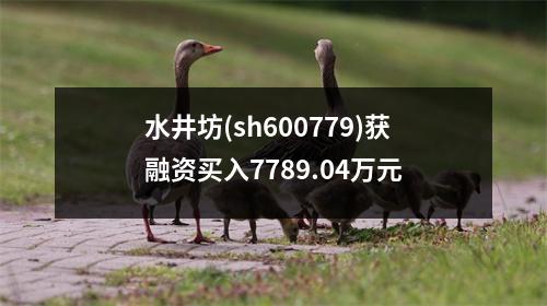 水井坊(sh600779)获融资买入7789.04万元