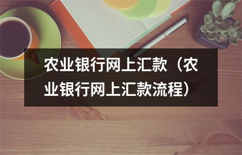 农业银行网上汇款（农业银行网上汇款流程）