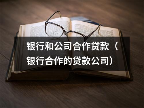 银行和公司合作贷款（银行合作的贷款公司）