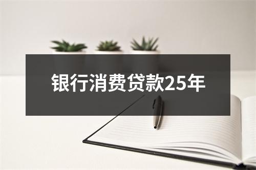 银行消费贷款25年