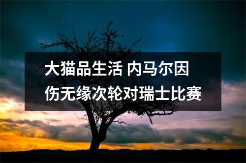 大猫品生活 内马尔因伤无缘次轮对瑞士比赛
