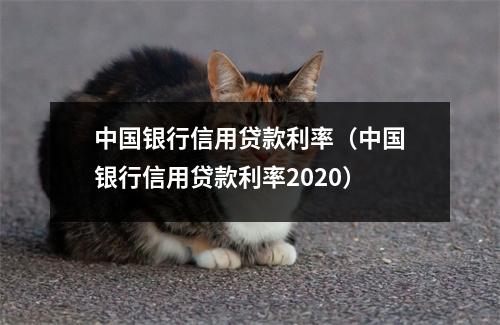 中国银行信用贷款利率（中国银行信用贷款利率2020）