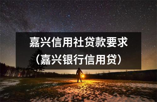 嘉兴信用社贷款要求（嘉兴银行信用贷）