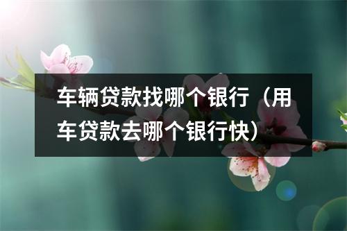 车辆贷款找哪个银行（用车贷款去哪个银行快）