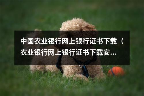 中国农业银行网上银行证书下载（农业银行网上银行证书下载安装）