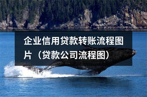 企业信用贷款转账流程图片（贷款公司流程图）