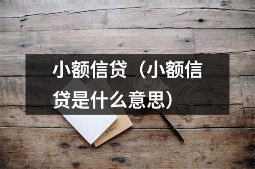 小额信贷（小额信贷是什么意思）