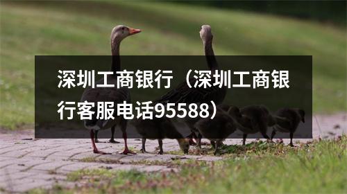深圳工商银行(深圳工商银行客服电话95588)