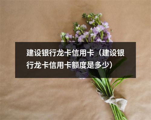 建设银行龙卡信用卡（建设银行龙卡信用卡额度是多少）