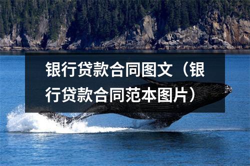 银行贷款合同图文（银行贷款合同范本图片）