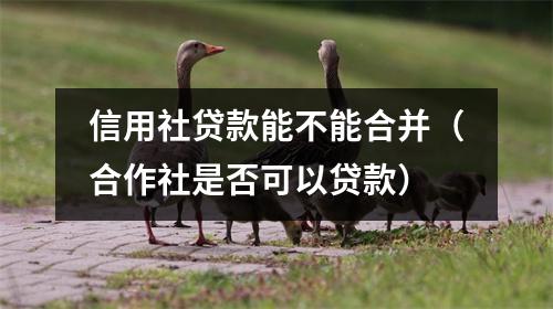 信用社贷款能不能合并（合作社是否可以贷款）