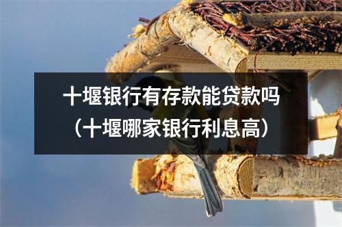 十堰银行有存款能贷款吗（十堰哪家银行利息高）