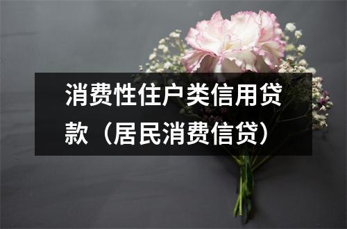 消费性住户类信用贷款（居民消费信贷）