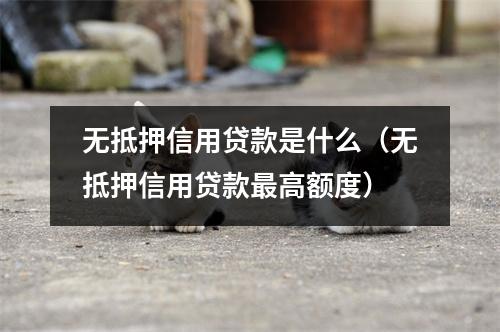 无抵押信用贷款是什么（无抵押信用贷款最高额度）