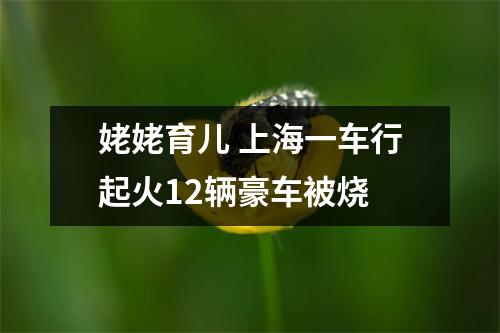 姥姥育儿 上海一车行起火12辆豪车被烧