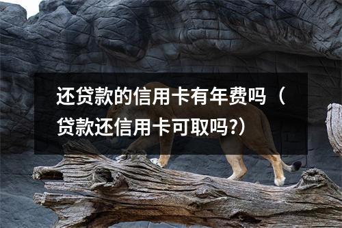 还贷款的信用卡有年费吗（贷款还信用卡可取吗?）