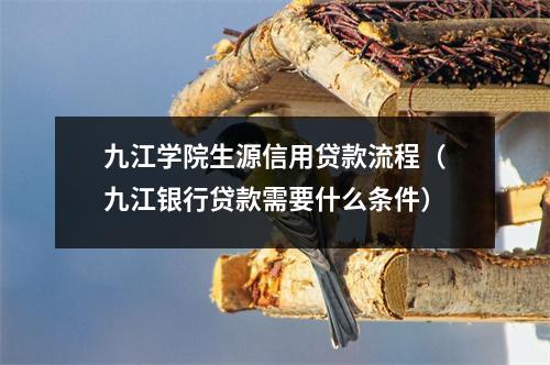 九江学院生源信用贷款流程（九江银行贷款需要什么条件）