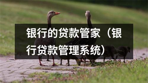 银行的贷款管家（银行贷款管理系统）