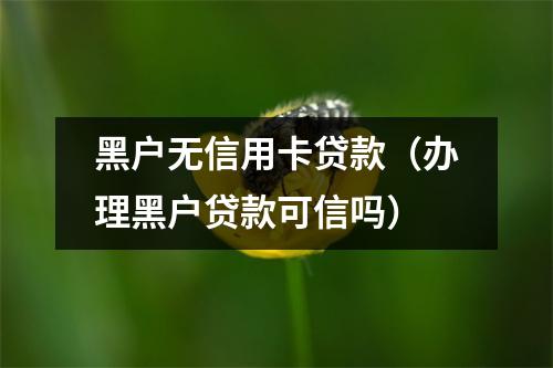 黑户无信用卡贷款（办理黑户贷款可信吗）