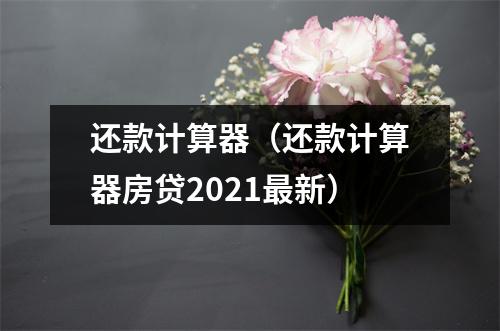 还款计算器（还款计算器房贷2021最新）
