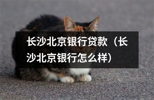 长沙北京银行贷款（长沙北京银行怎么样）