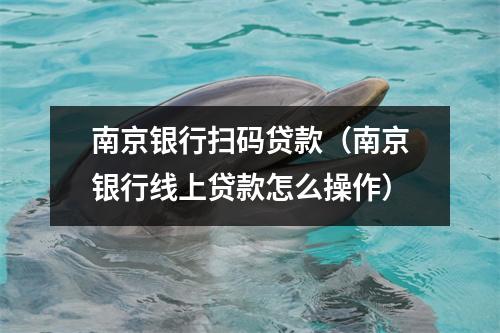 南京银行扫码贷款（南京银行线上贷款怎么操作）