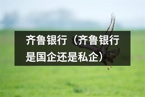 齐鲁银行（齐鲁银行是国企还是私企）