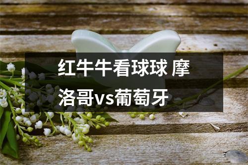 红牛牛看球球 摩洛哥vs葡萄牙