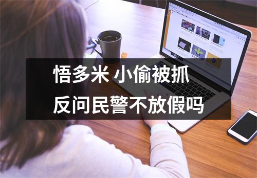 悟多米 小偷被抓反问民警不放假吗