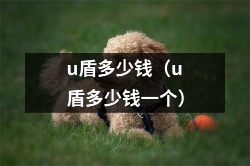 u盾多少钱（u盾多少钱一个）