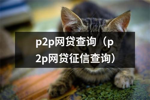 p2p网贷查询（p2p网贷征信查询）